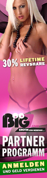 Als Amateur im Internet Geld verdienen